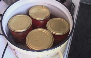 Маринованные помидоры дольками с луком на зиму